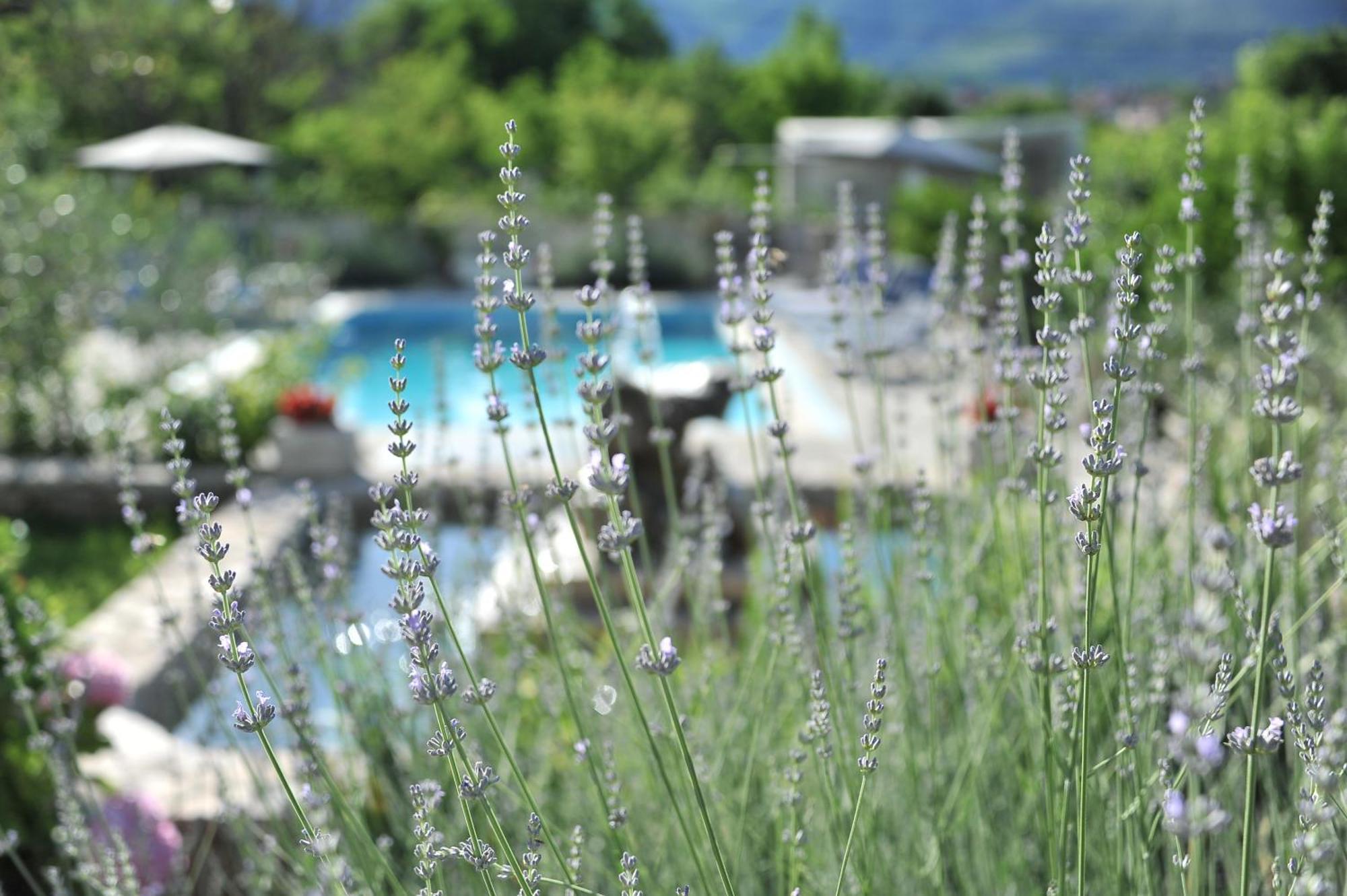 Pool House Maslina Mostar Exterior foto
